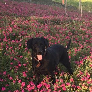 Meet your Posher, Xiaowei